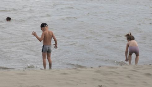Негде купаться. Почему в Алтайском крае так мало пляжей