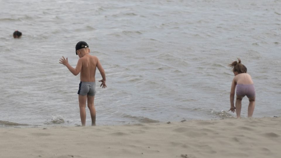 Негде купаться. Почему в Алтайском крае так мало пляжей