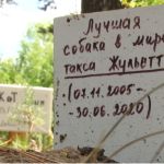 Депутат и ветеринары оценили идею создания в Барнауле кладбища домашних животных