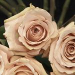 День флориста: сложно ли создавать цветочные шедевры