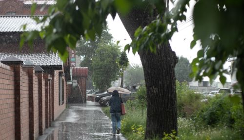 Летний дождь: 27 июля Алтайский край накроет непогода