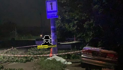 В полиции рассказали подробности гибели ребенка в ДТП в Новоалтайске