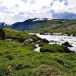 Вандалы изуродовали белой краской гору в Республике Алтай