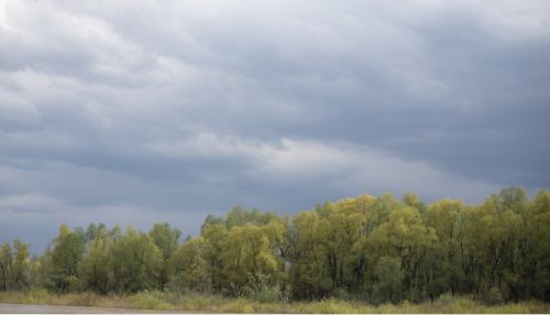 Дожди и немного теплее: какая погода будет 28 июля в Алтайском крае