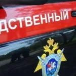 В Барнауле вахтовик вернулся домой и случайно убил сожительницу