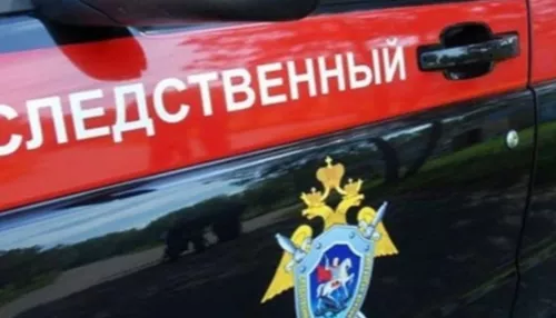 Алтайские следователи сообщили об убийстве пропавшей 18-летней девушки