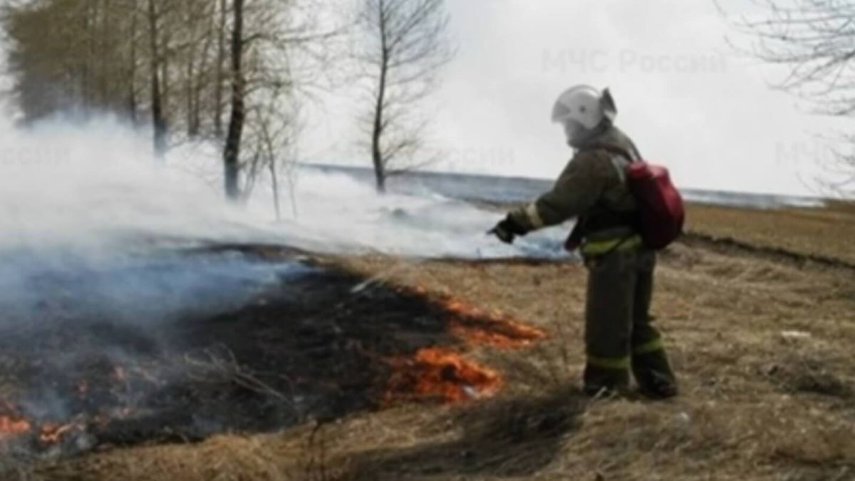 Все заволокло дымом: в Алтайском крае возле деревни горели поля