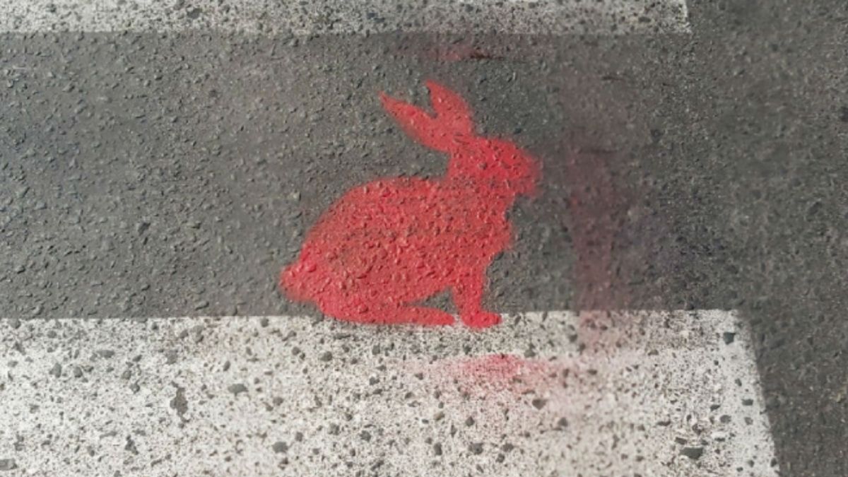 Кто и зачем рисует розовых кроликов на асфальте в Новосибирске