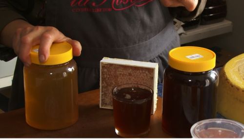 Сила мёда: чем полезен продукт и как может навредить здоровью