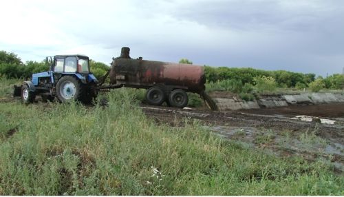 По полям, по лугам: куда стекают кровь и жир с павловской скотобойни