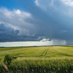 Похолодание и ливни: алтайские синоптики предупреждают о резком ухудшении погоды