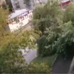 Дерево рухнуло на тротуар после сильного дождя в Барнауле