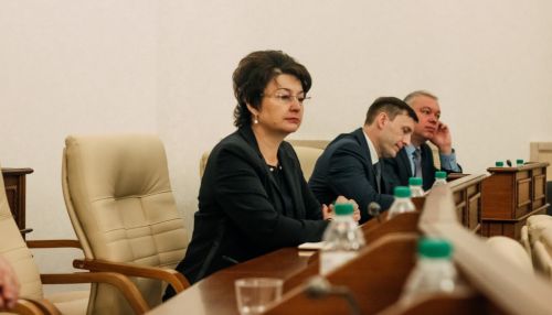 Зампред правительства Алтайского края Ирина Долгова ушла в отставку