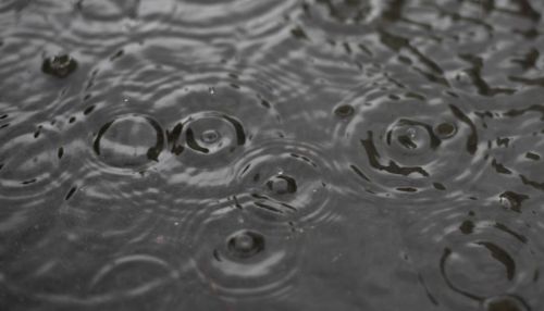 Осень ближе: дождливая погода сохранится в Алтайском крае 23 августа