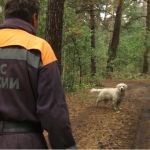 Заблудились в лесу: журналисты Толка пошли на эксперимент