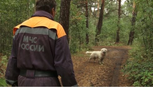 Заблудились в лесу: журналисты Толка пошли на эксперимент