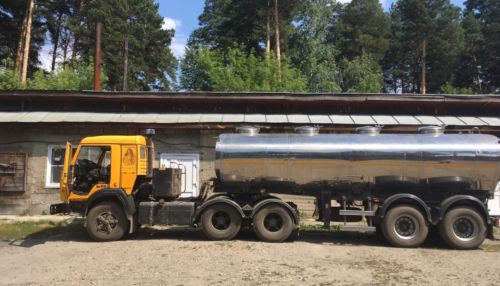 В Алтайском крае осудят банду, которая похитила молока на 27 млн рублей