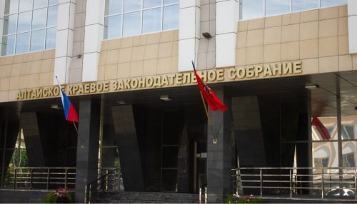 Плохо работаем: алтайские депутаты разгромили доклад детского омбудсмена