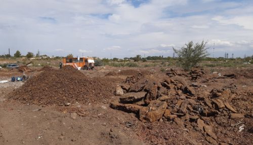 Нижегородская компания рекультивирует территорию тракторного завода в Рубцовске