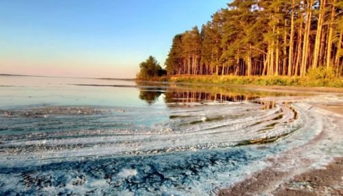 Экологическая катастрофа: что случилось на алтайском озере Горькое-Перешеечное