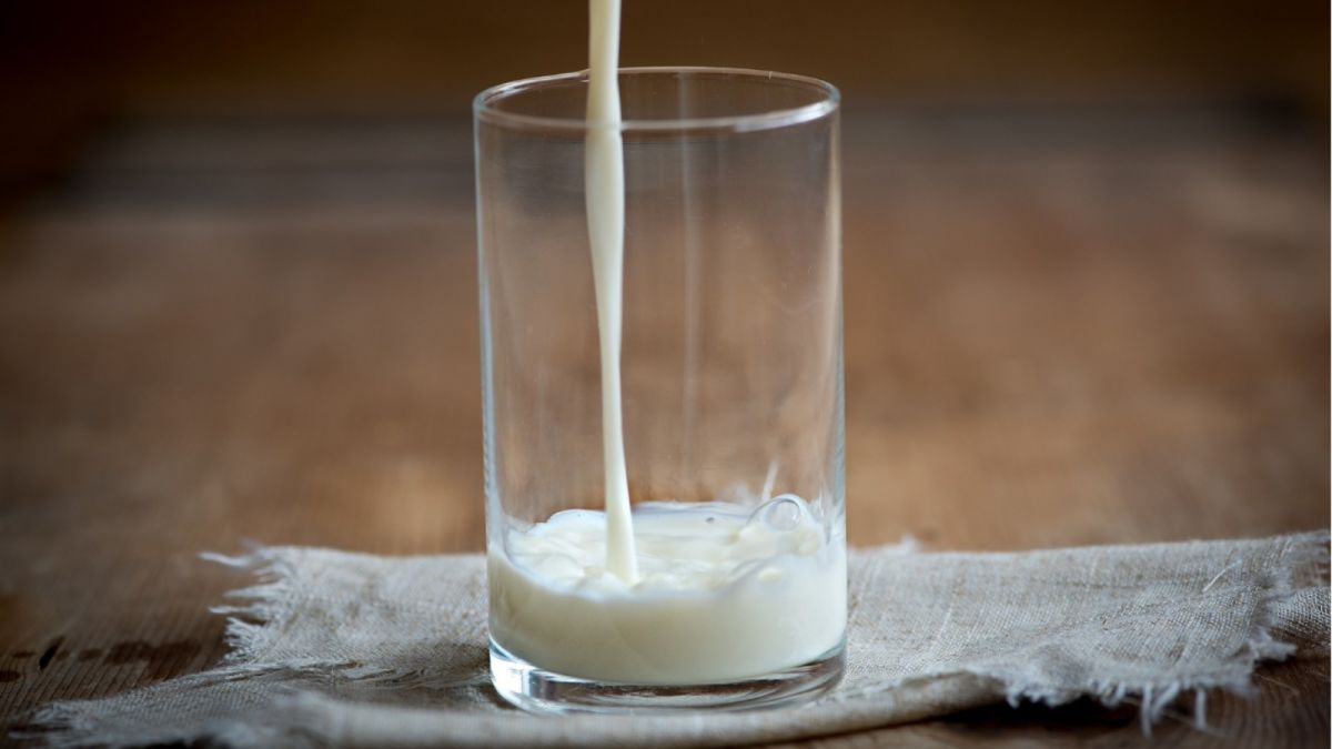 Засуха и угроза вырезания дойного стада на Алтае не повлекут рост цен на молоко