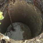 Несвятая вода: в барнаульском святом источнике обнаружили канализационные стоки