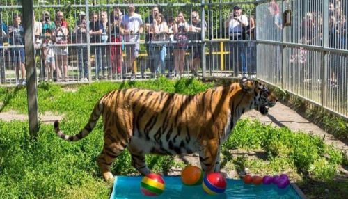 Прокуратура нашла нарушения в зоопарках Барнаула, Славгорода и двух районов