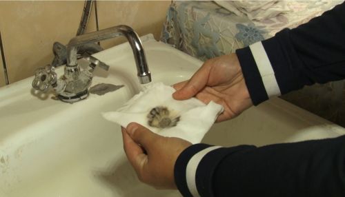 Жители пригорода Барнаула вынуждены переплачивать за грязную воду