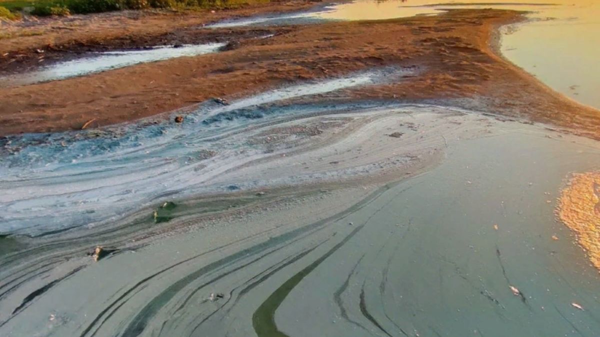 В алтайском озере, вокруг которого стояла вонь, не обнаружили следы химикатов