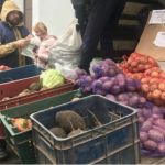Первые осенние продовольственные ярмарки откроются в Барнауле