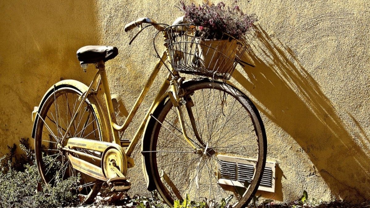 На Алтае директора коммерческой фирмы обвиняют в краже велосипедов