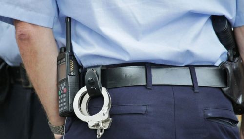 На Алтае женщина оскорбила полицейского из-за пьяного сына