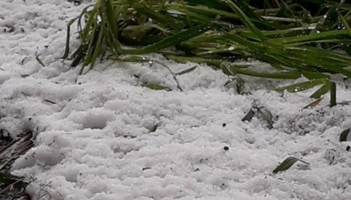 Мощный снегопад в горах и град прошли в районах Алтая