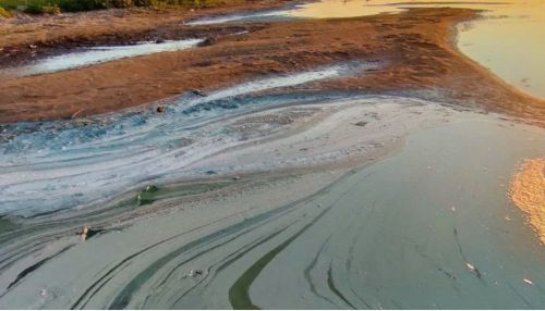 Ученые придумали, как спасти уникальное озеро на Алтае