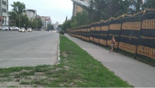 В Барнауле пообещали восстановить кустарник возле БЮИ