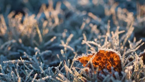 Стало известно, когда на Алтайский край обрушится мороз до -11 градусов