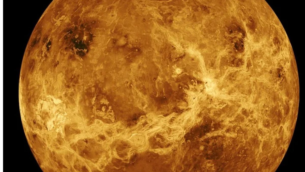 "Жизнь на Венере?": в NASA оценили находку фосфина на планете