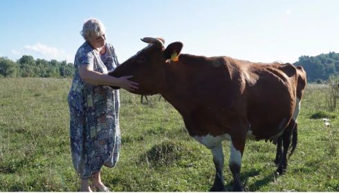 Жительница Алтайского края вышла на пенсию и запустила молочный бизнес