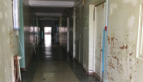 Руководство ковидного госпиталя в Барнауле ответит за тараканов и разруху