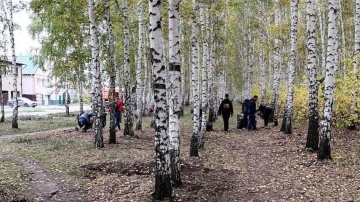 Березовую рощу в барнаульском поселке очистили от мусора