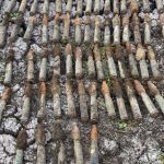 Житель Алтайского края нашел 30 пушечных снарядов на дне болота