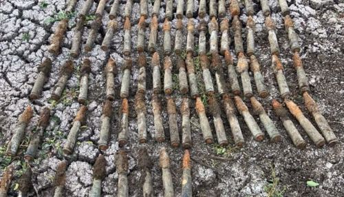 Житель Алтайского края нашел 30 пушечных снарядов на дне болота