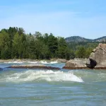 В реке Катунь на Алтае во время купания пропал 40-летний мужчина