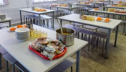 Власти ответили Онищенко на критику о питании в алтайских школах