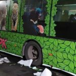 Автобус со львами, тиграми, медведями и оленями запустят в Барнауле