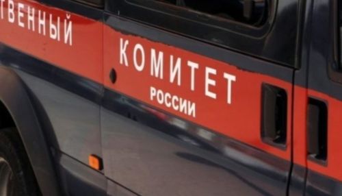 Мужчина задушил веревкой 18-летнюю девушку в Завьяловском районе