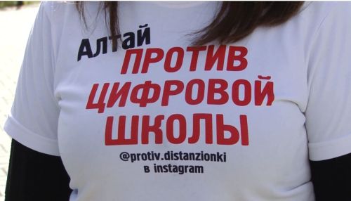 Родителям Барнаула разрешили выйти на митинг против дистанционного образования