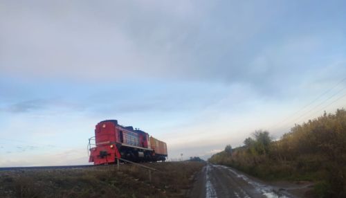 В Алтайском крае сбитый локомотивом пешеход вылетел на дорогу