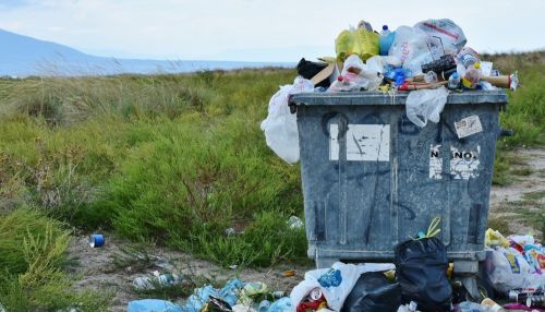Счётная палата признала, что ситуация с мусорной реформой близка к критической