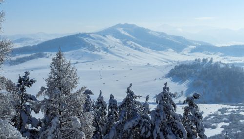 Краевой эксперт по туризму пригласила на Алтай на изоляцию
